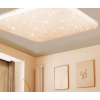 飞华隆(FHL)卧室灯led客厅吸顶灯具超薄现代简约浪漫主卧房间圆灯